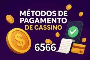 Métodos de Pagamento no 6566
